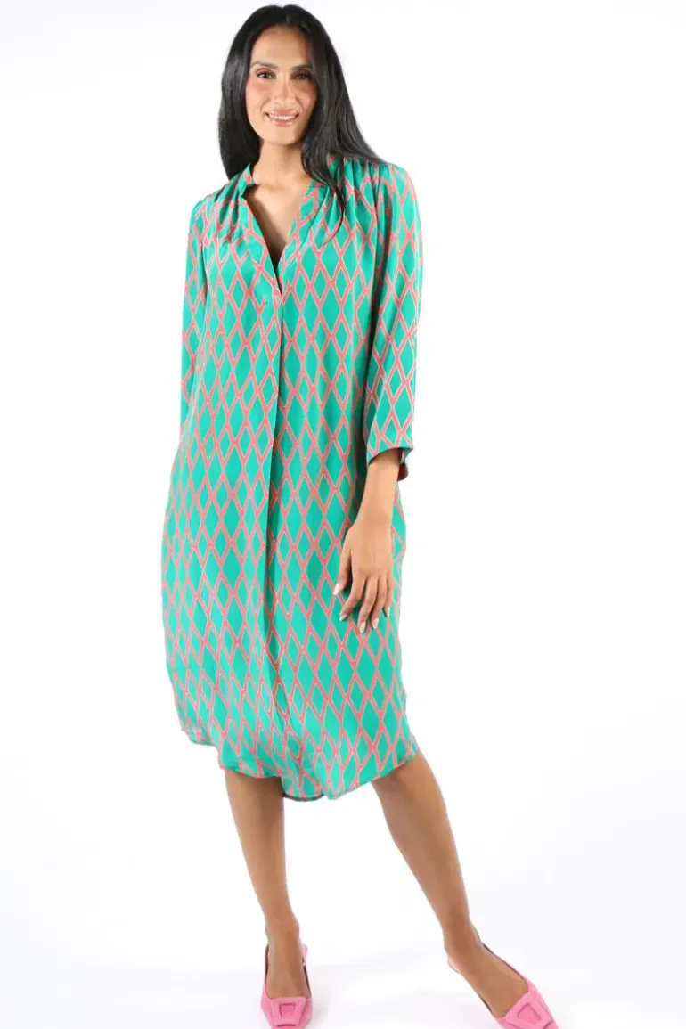 Anupamaa Harlequin Roma Dress In Green