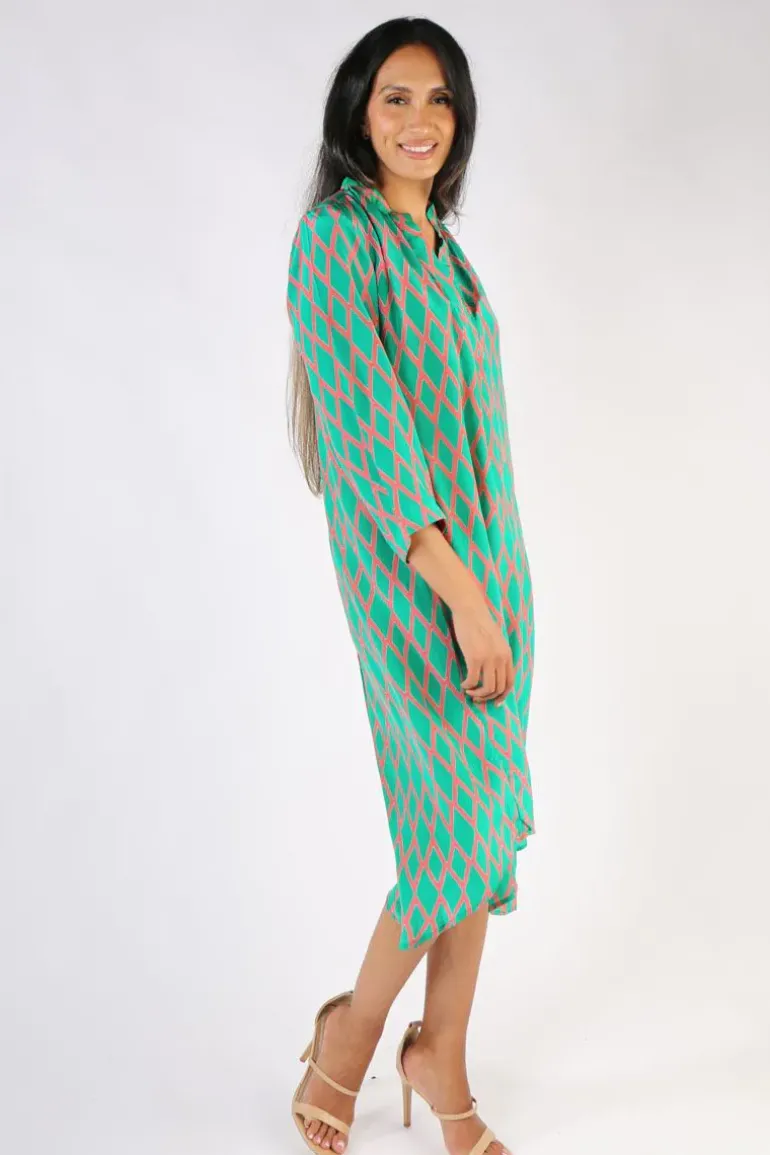 Anupamaa Harlequin Roma Dress In Green