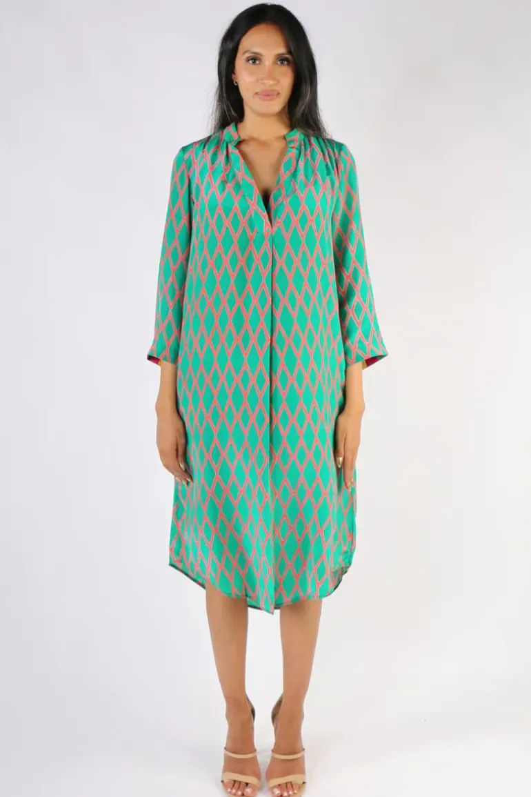 Anupamaa Harlequin Roma Dress In Green