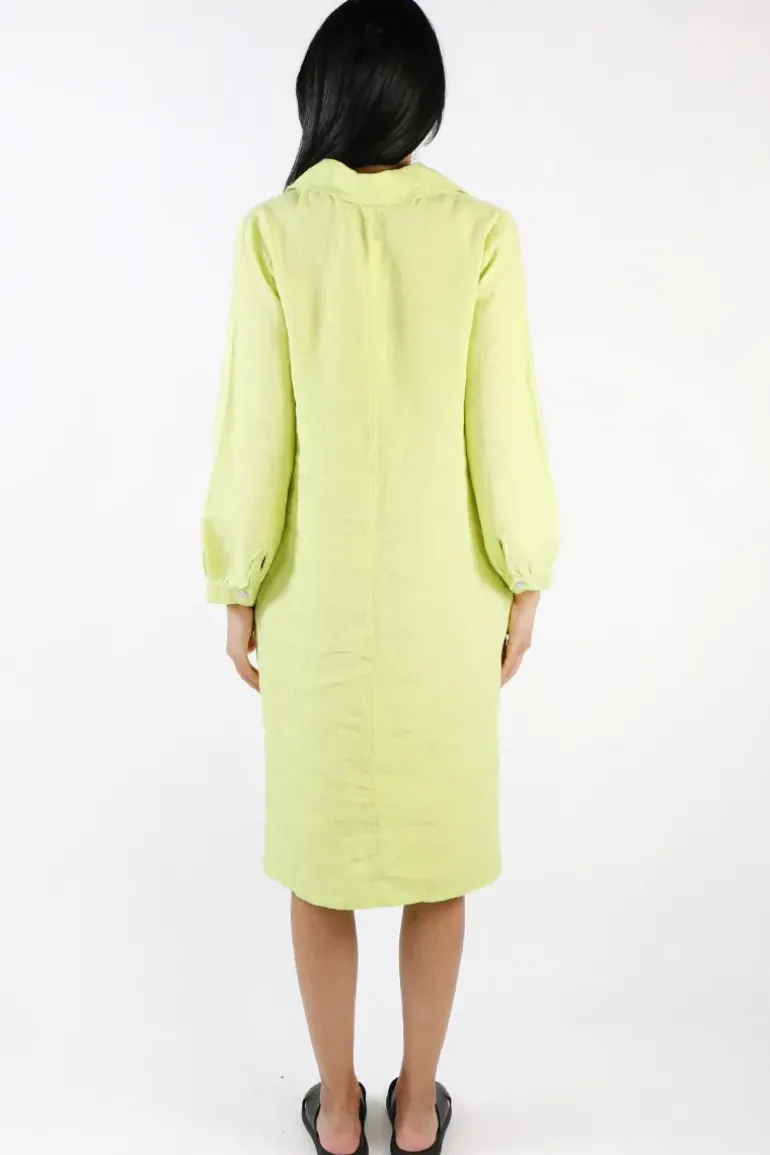 Blueberry Maria Pia Shirt Dress In Lime