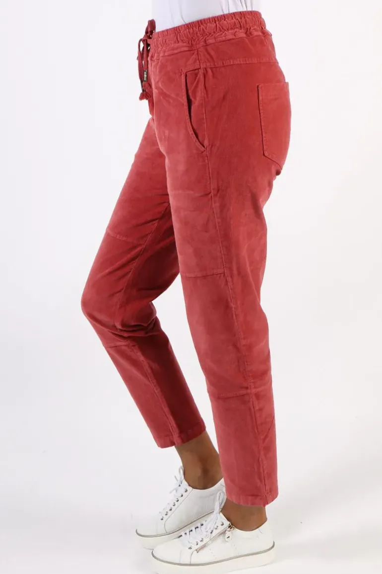 Funky Staff You 2 Velvet Pant In Wine