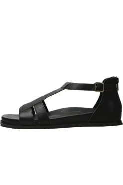 Honjo Sandal By Ziera In Black