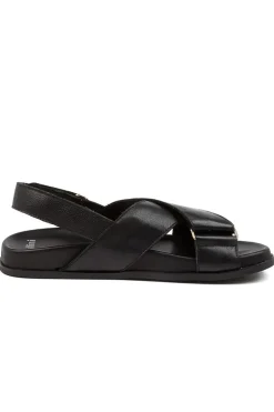 Mollini Haylow Sandal In Black