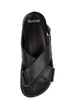 Mollini Haylow Sandal In Black