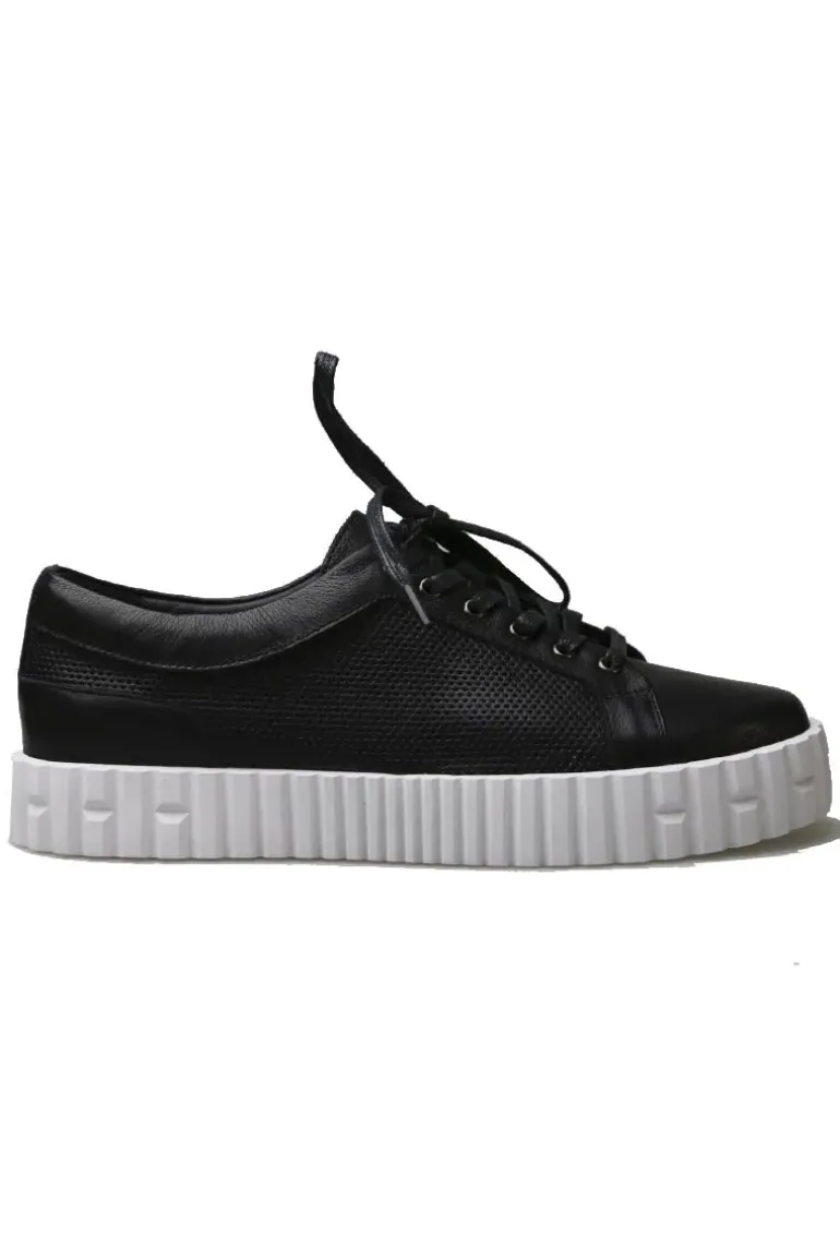 Osaac Sneaker By Django & Juliette In Black
