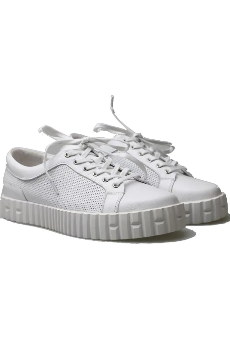 Osaac Sneaker By Django & Juliette In White