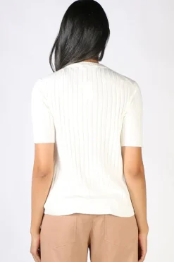 POL Nucleus Top In Chalk