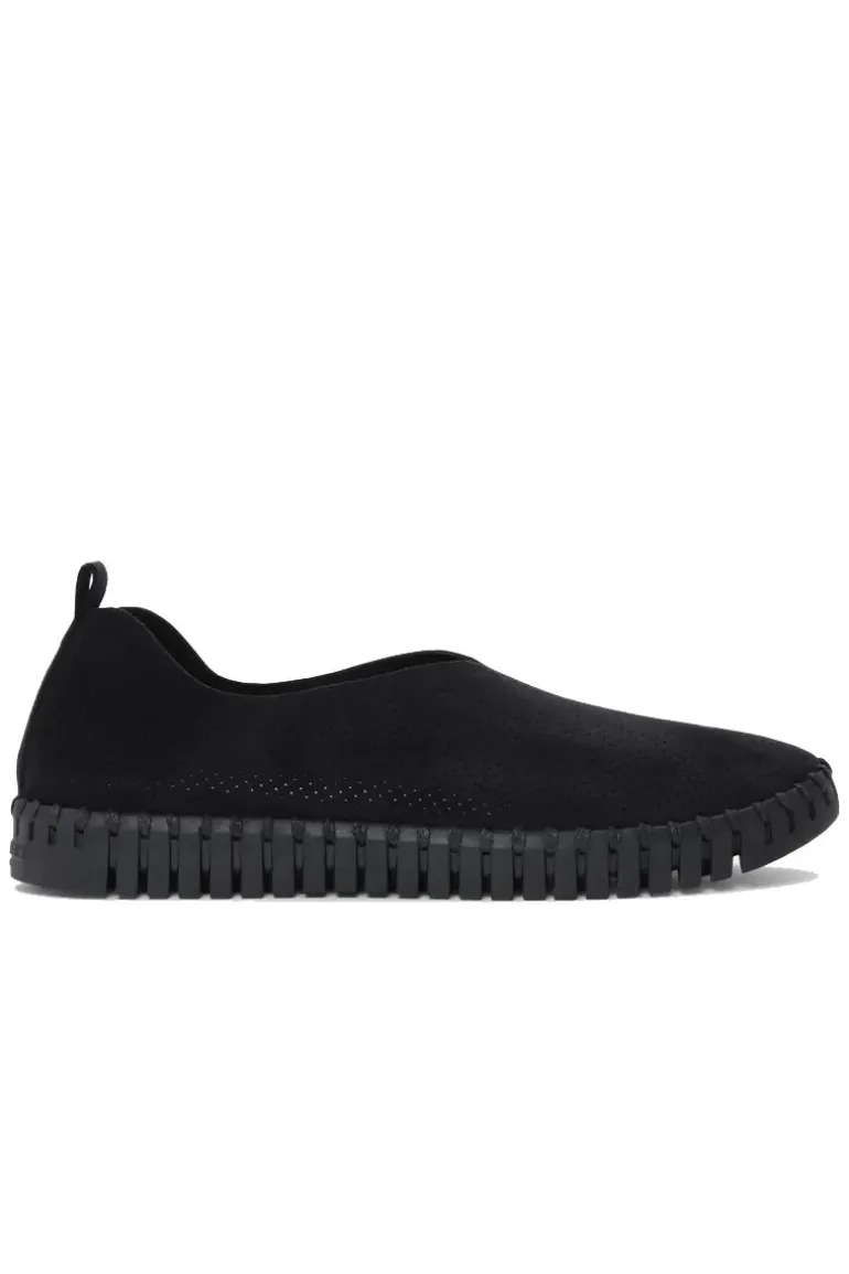 Tulip Flat Black Match Sole Flat By Ilse Jacobsen