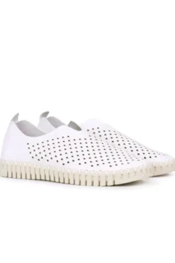 Tulip Flat By Ilse Jacobsen In White