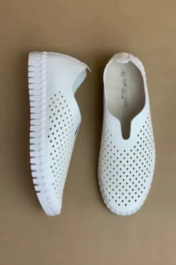 Tulip Flat By Ilse Jacobsen In White