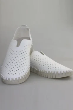 Tulip Flat By Ilse Jacobsen In White