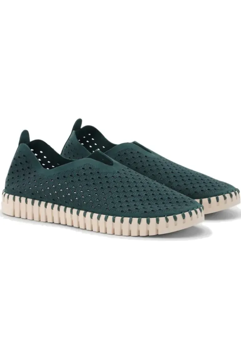 Tulip Flat By Ilse Jacobsen In Beetle