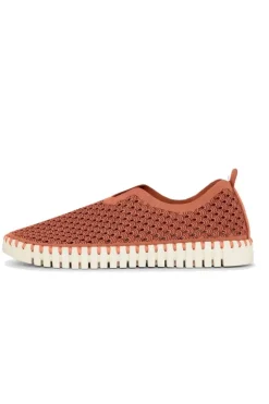 Tulip Flat By Ilse Jacobsen In Brick
