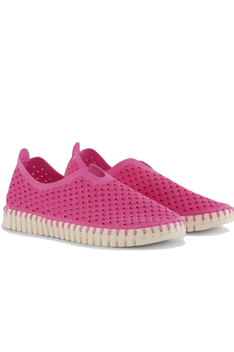 Tulip Flat By Ilse Jacobsen In Rose Violet