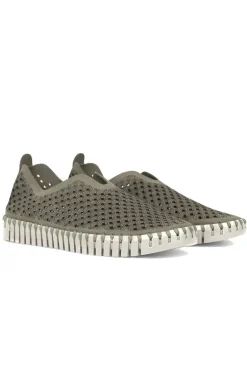Tulip Flat By Ilse Jacobsen In Army