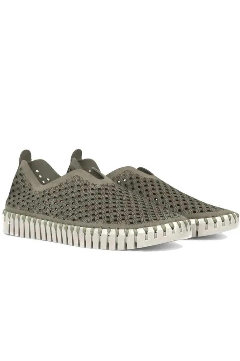 Tulip Flat By Ilse Jacobsen In Army