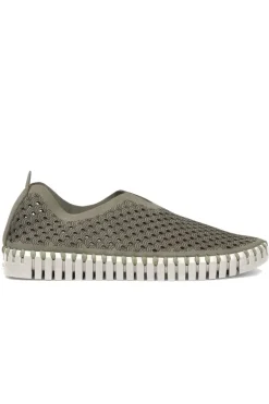 Tulip Flat By Ilse Jacobsen In Army