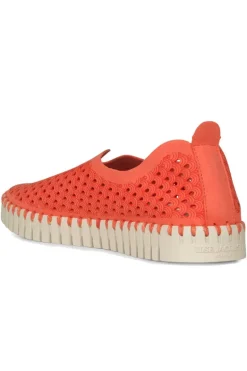 Tulip Flat By Ilse Jacobsen In Raspberry