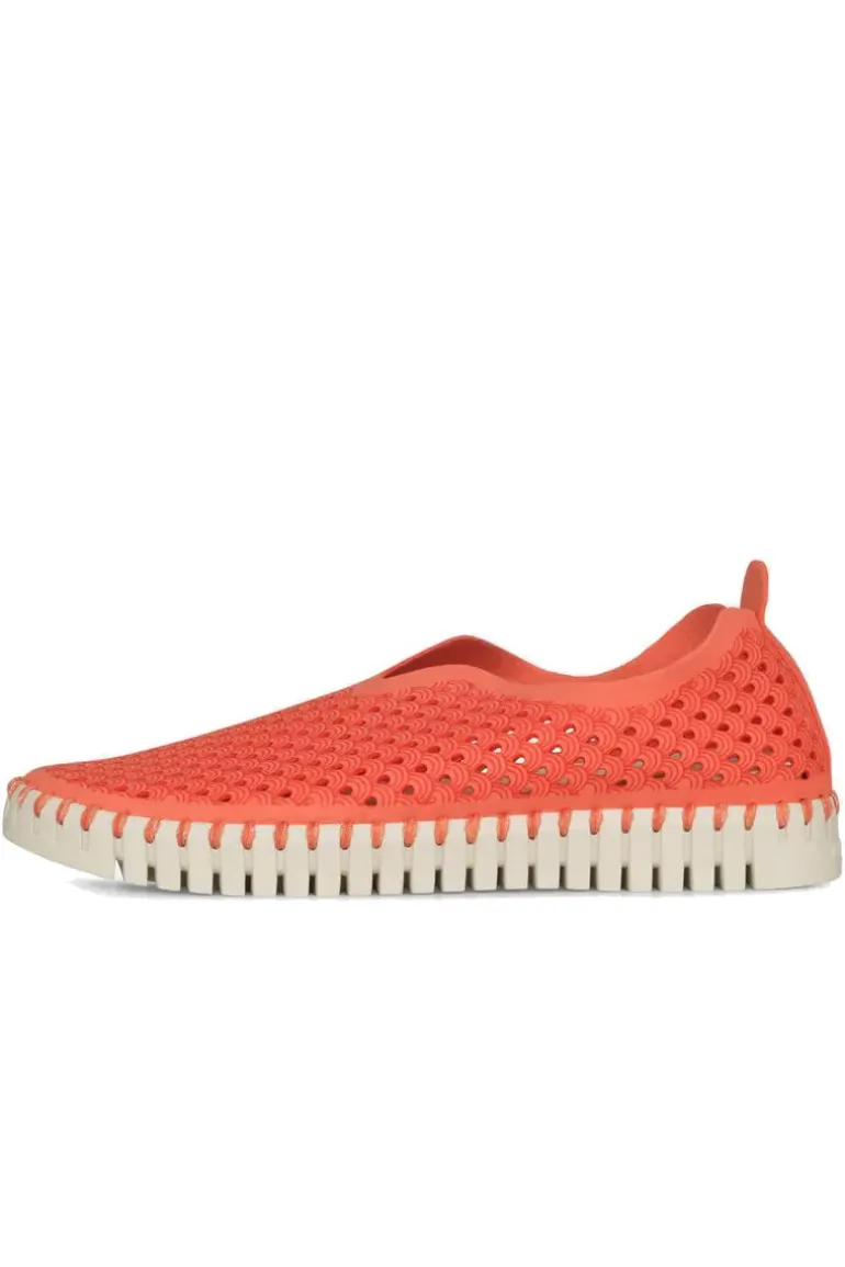 Tulip Flat By Ilse Jacobsen In Raspberry
