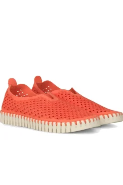 Tulip Flat By Ilse Jacobsen In Raspberry