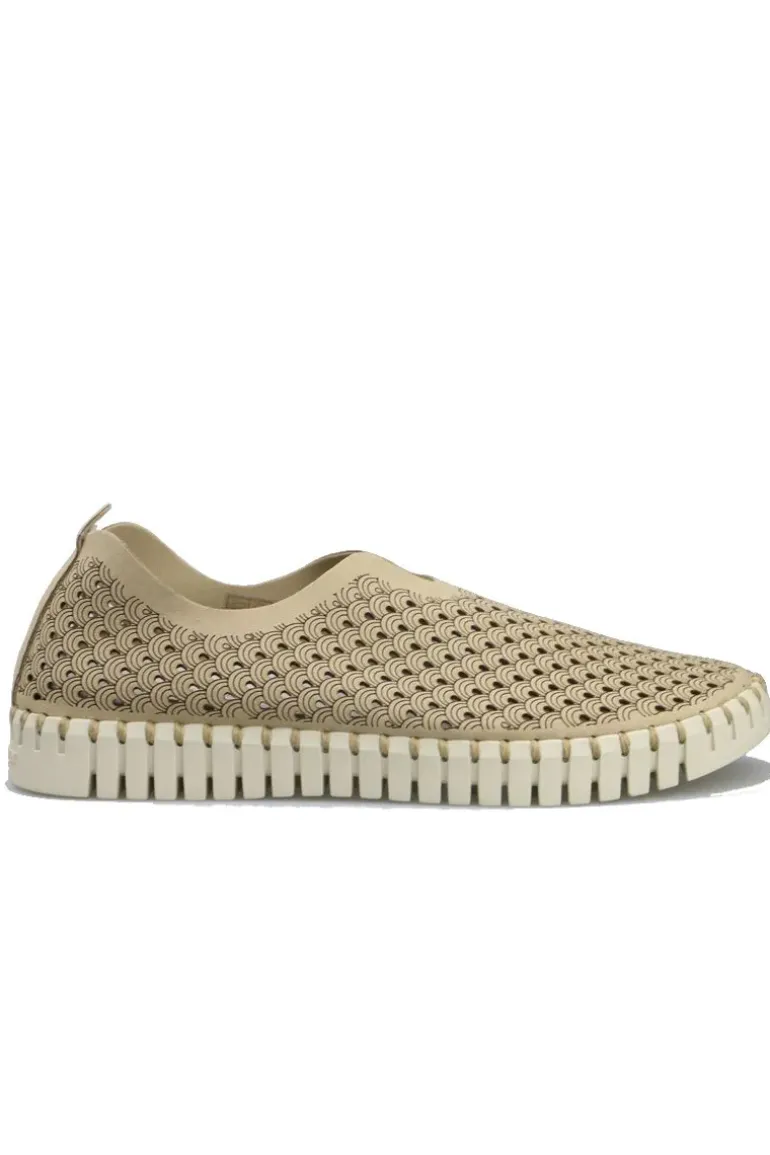 Tulip Flat By Ilse Jacobsen In Latte