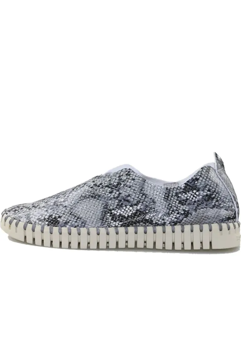 Tulip Flat By Ilse Jacobsen In Snake