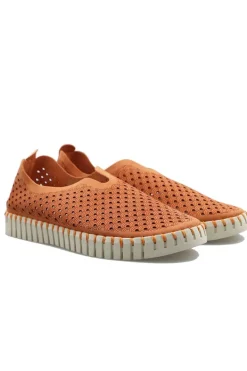 Tulip Flat By Ilse Jacobsen In Camelia