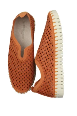 Tulip Flat By Ilse Jacobsen In Camelia