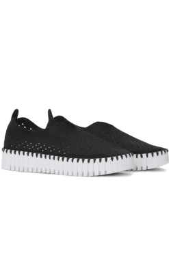 Tulip Plateau Shoe By Ilse Jacosben In Black