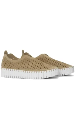 Tulip Platform Shoe By Ilse Jacosben In Latte