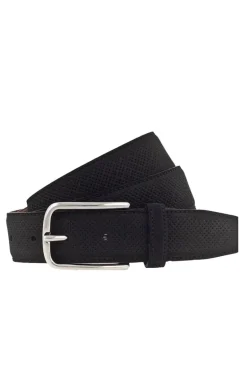 Vanzetti Laser Cut Belt In Black