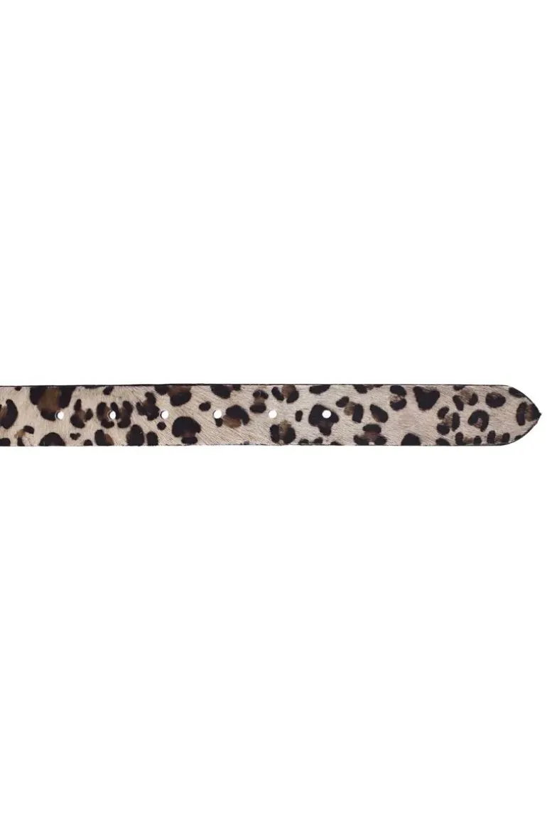 Vanzetti Leopard Belt In Cream