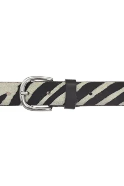 Vanzetti Zebra Belt
