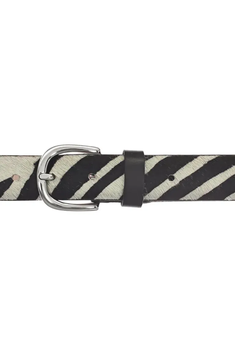 Vanzetti Zebra Belt