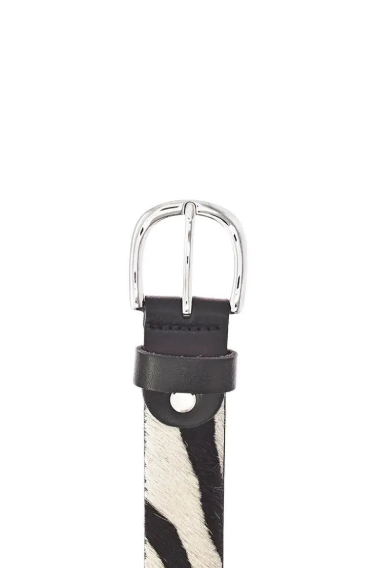 Vanzetti Zebra Belt