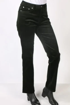 Vassalli Straight Leg Pant In Forest