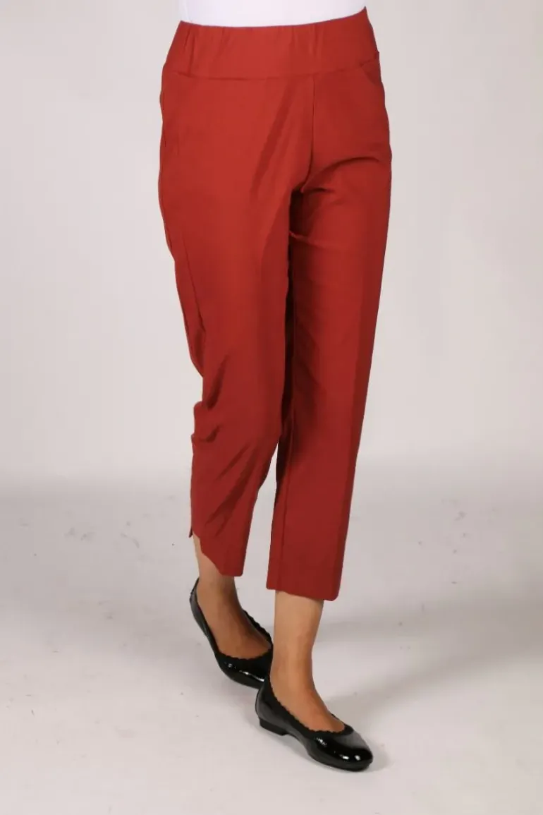 Verge Acrobat Desiree Pant In Russet